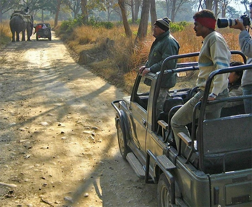Canter Safari