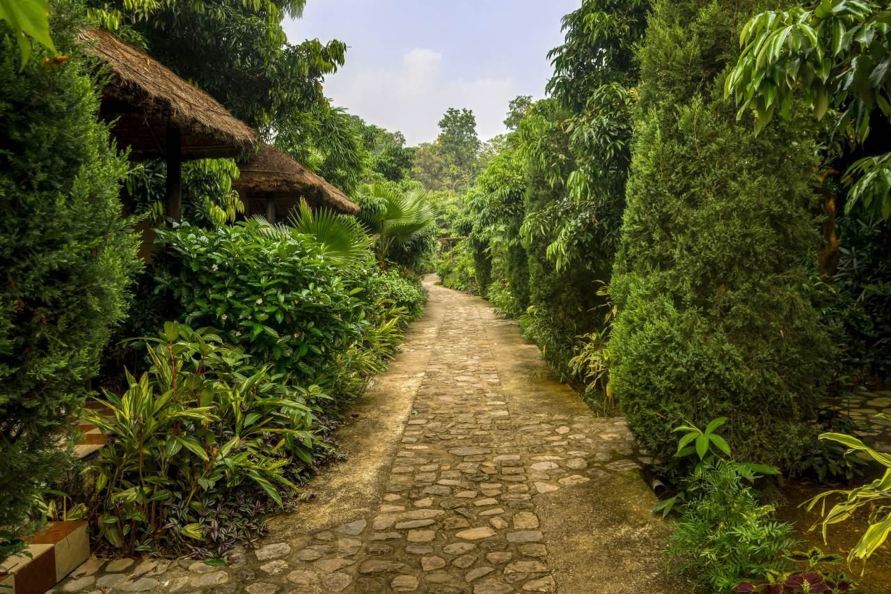 Corbett Honeymoon Special